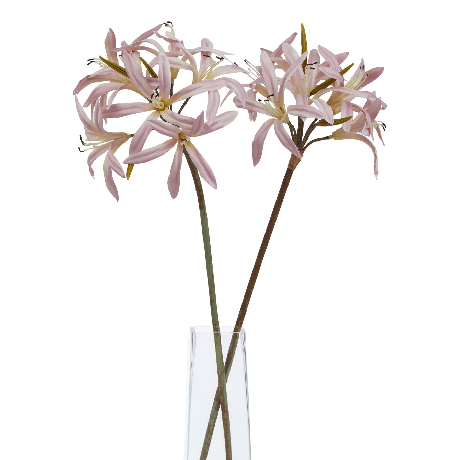 The Natural Garden Collection Pink Lily Stem_5652