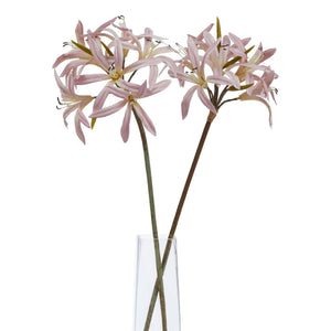 The Natural Garden Collection Pink Lily Stem_5652
