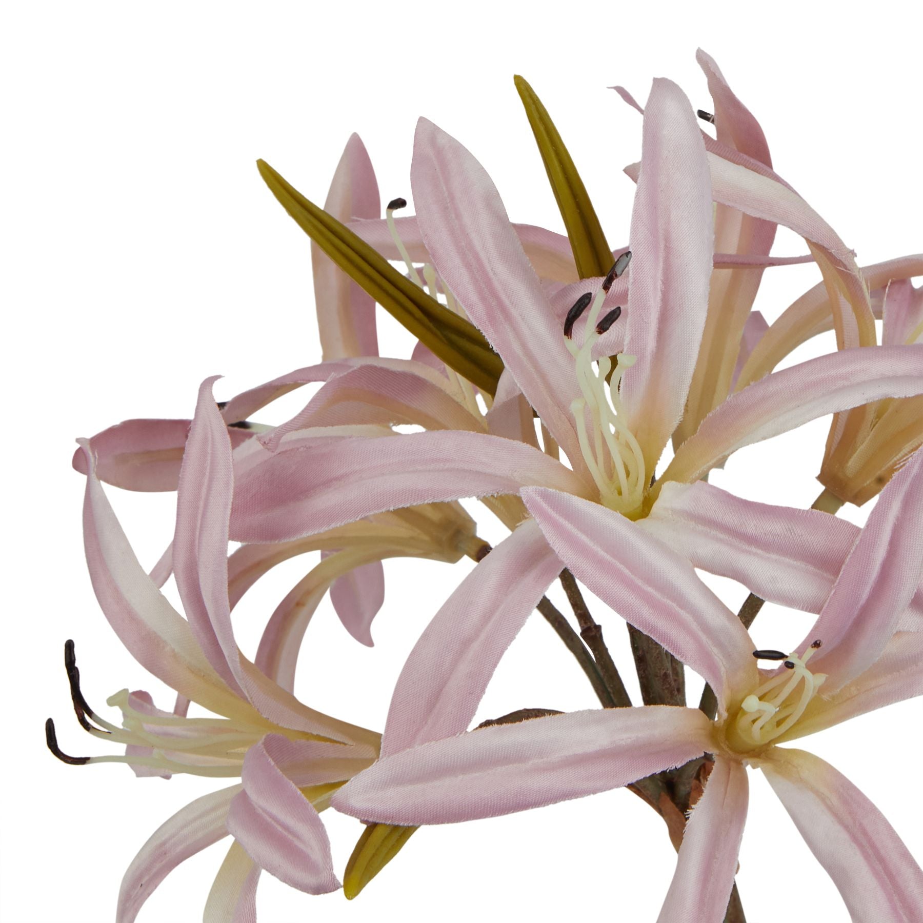 The Natural Garden Collection Pink Lily Stem_5651