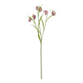 The Natural Garden Collection Purple Fritillaria Stem_5663
