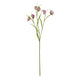The Natural Garden Collection Purple Fritillaria Stem_5663
