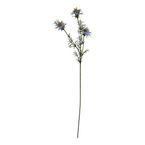 The Natural Garden Collection Purple Nigella Love In A Mist_5667