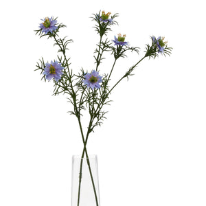 The Natural Garden Collection Purple Nigella Love In A Mist_5669