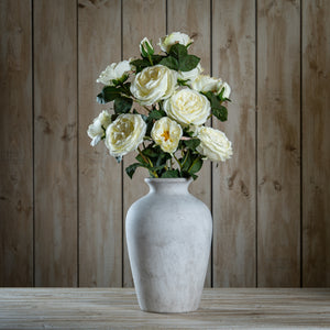 The Natural Garden Collection White Charity Rose [cid:23396-a]