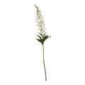 The Natural Garden Collection White Foxglove_5688