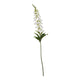 The Natural Garden Collection White Foxglove_5688