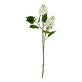The Natural Garden Collection White Lilac Stem_5696
