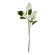 The Natural Garden Collection White Lilac Stem_5696