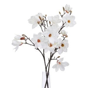 The Natural Garden Collection White Magnolia Stem_5701