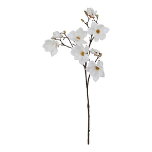 The Natural Garden Collection White Magnolia Stem_5699