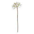 The Natural Garden Collection White Nerine Lily Stem_5702