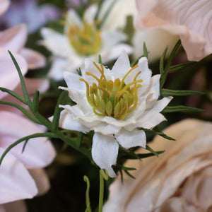 The Natural Garden Collection White Nigella Love In A Mist_5708