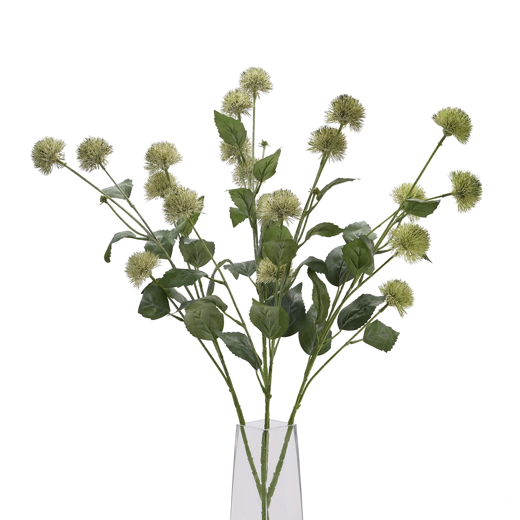 Thistle Globe Stem_5736