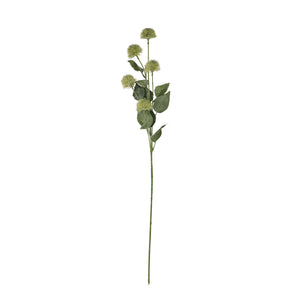 Thistle Globe Stem_5735