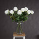 Traditional White Rose_5742