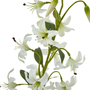 Turks Cap Green Lily Spray_5748