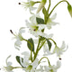 Turks Cap Green Lily Spray_5748