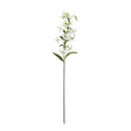 Turks Cap Green Lily Spray_5747