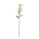 Turks Cap Green Lily Spray_5747