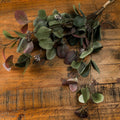 Variegated Eucalyptus Bouquet_5755