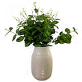 Variegated Leaf Spray_5760