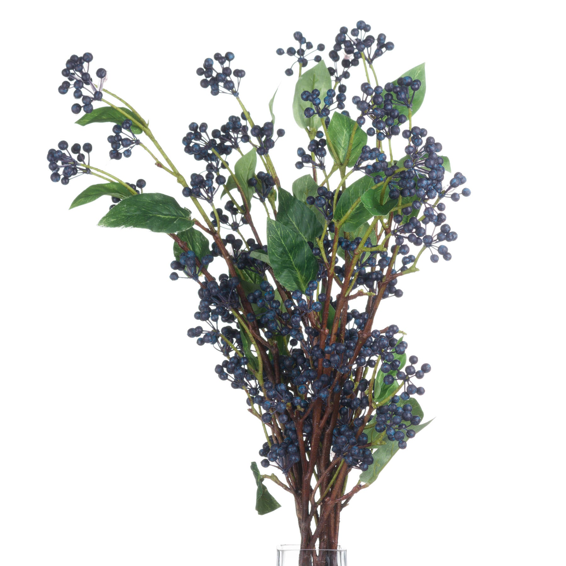 Viburnum Berry_5777