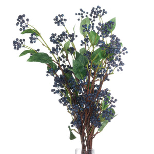 Viburnum Berry_5777