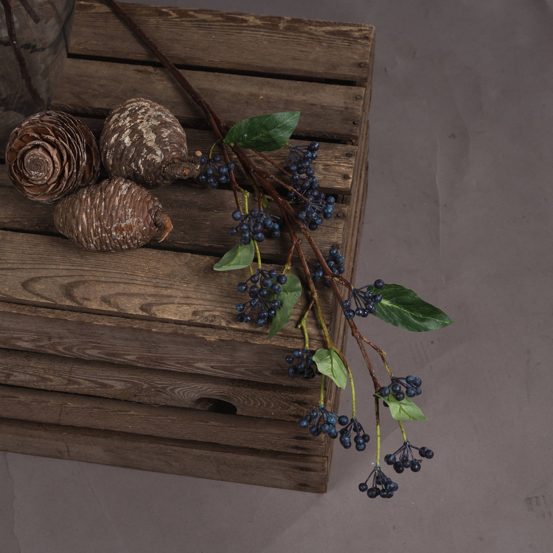 Viburnum Berry_5775