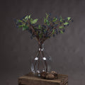 Viburnum Berry_5774