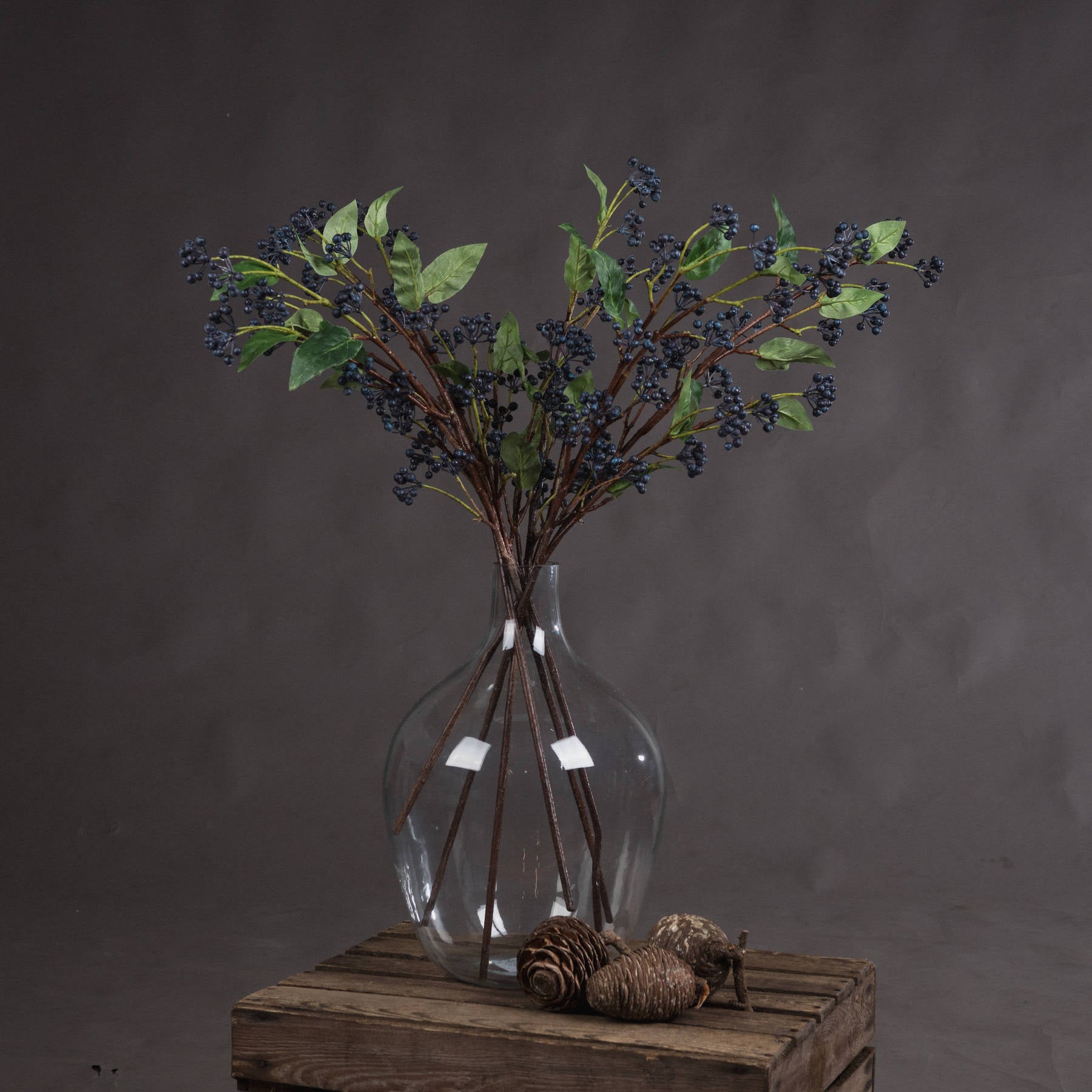 Viburnum Berry_5774