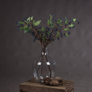 Viburnum Berry_5774