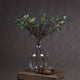 Viburnum Berry_5774