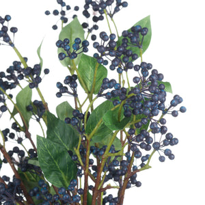 Viburnum Berry_5778