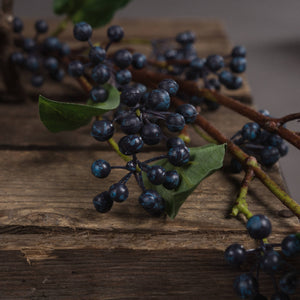 Viburnum Berry_5776