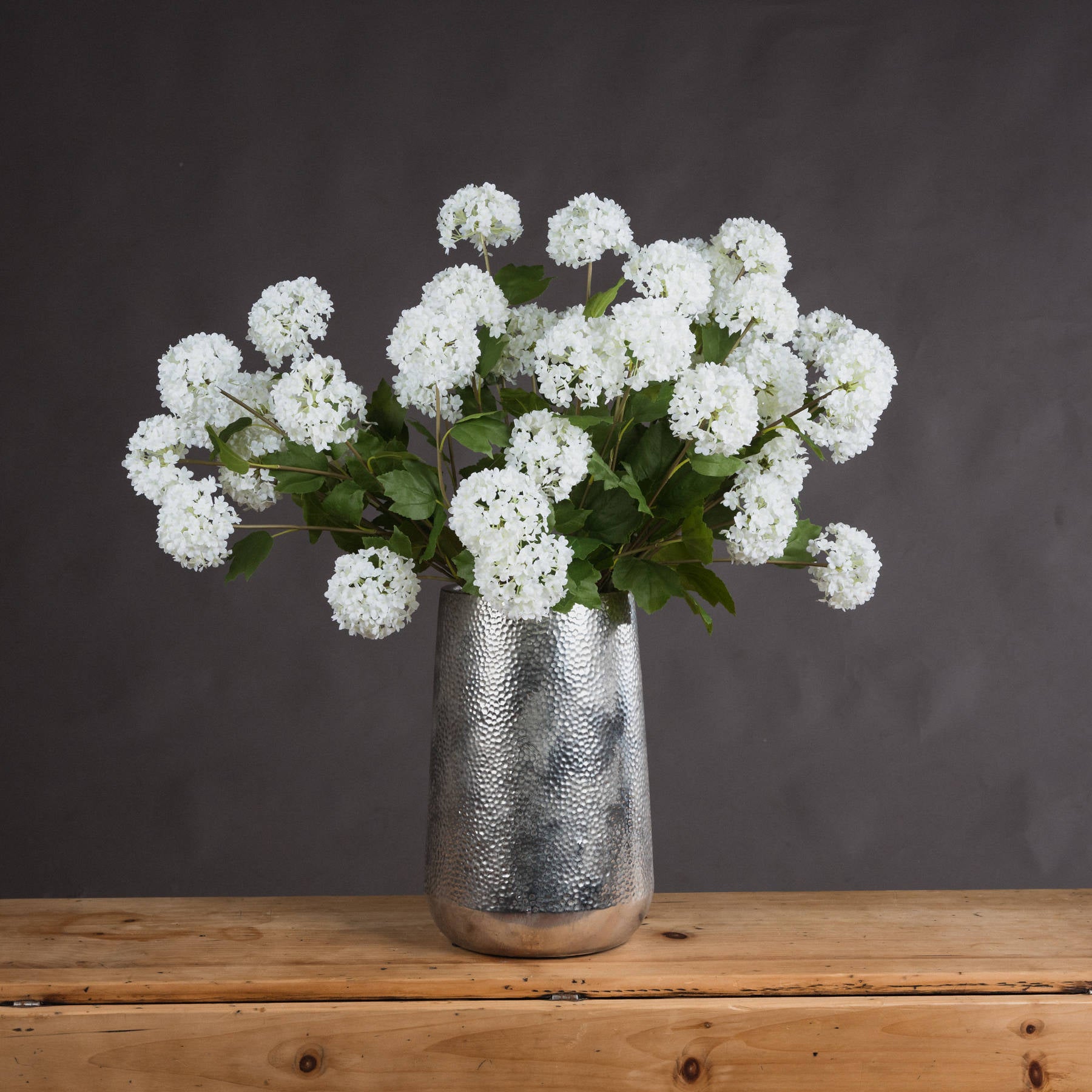 Viburnum Opulus_5779