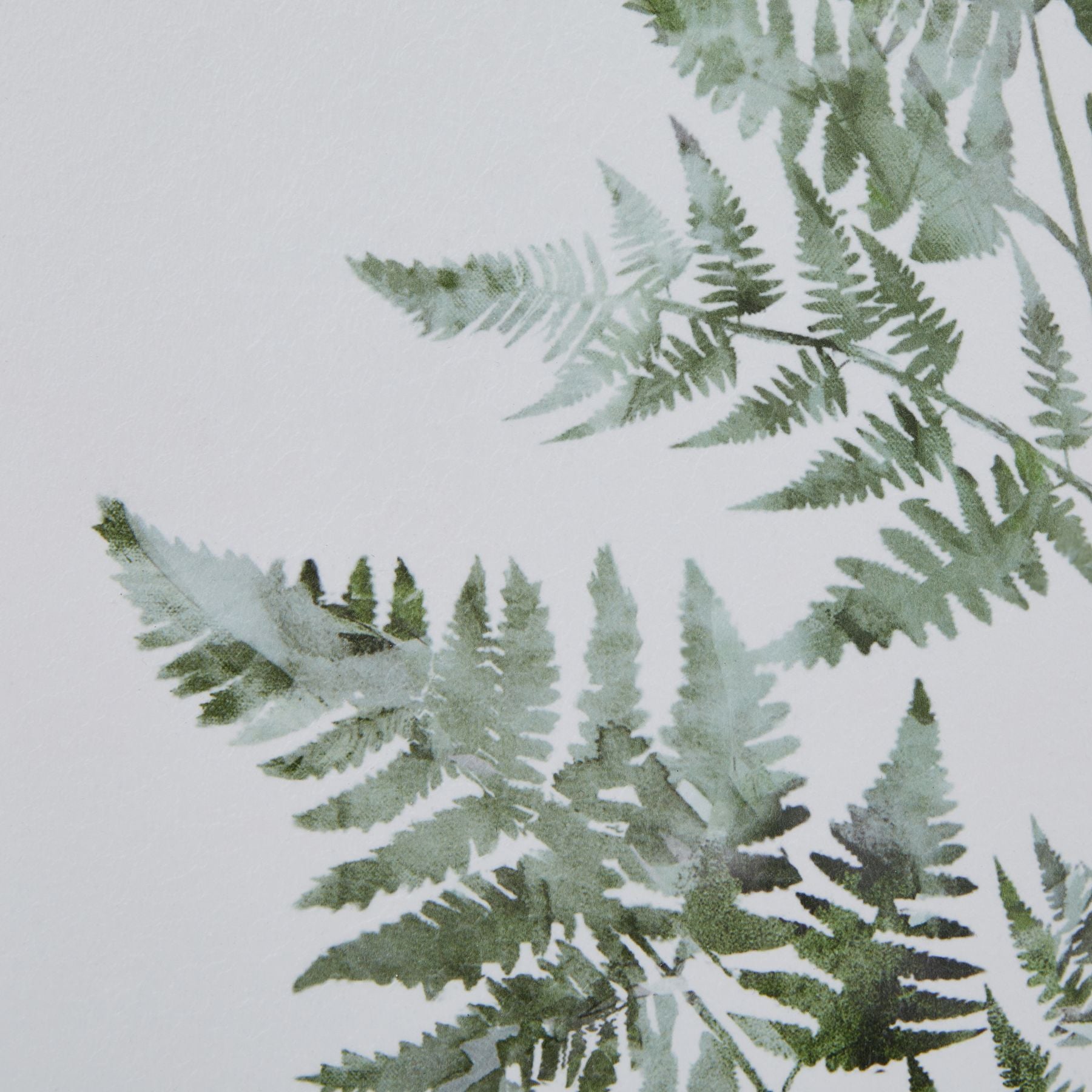 Watercolour Bracken Fern In Washed Wood Frame_3934