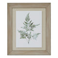 Watercolour Bracken Fern In Washed Wood Frame_3932