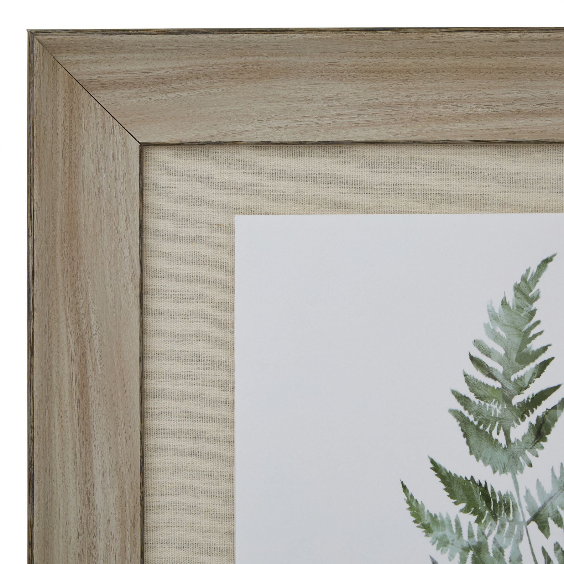 Watercolour Bracken Fern In Washed Wood Frame_3933