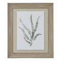 Watercolour Delicate Fern In Washed Wood Frame_3937