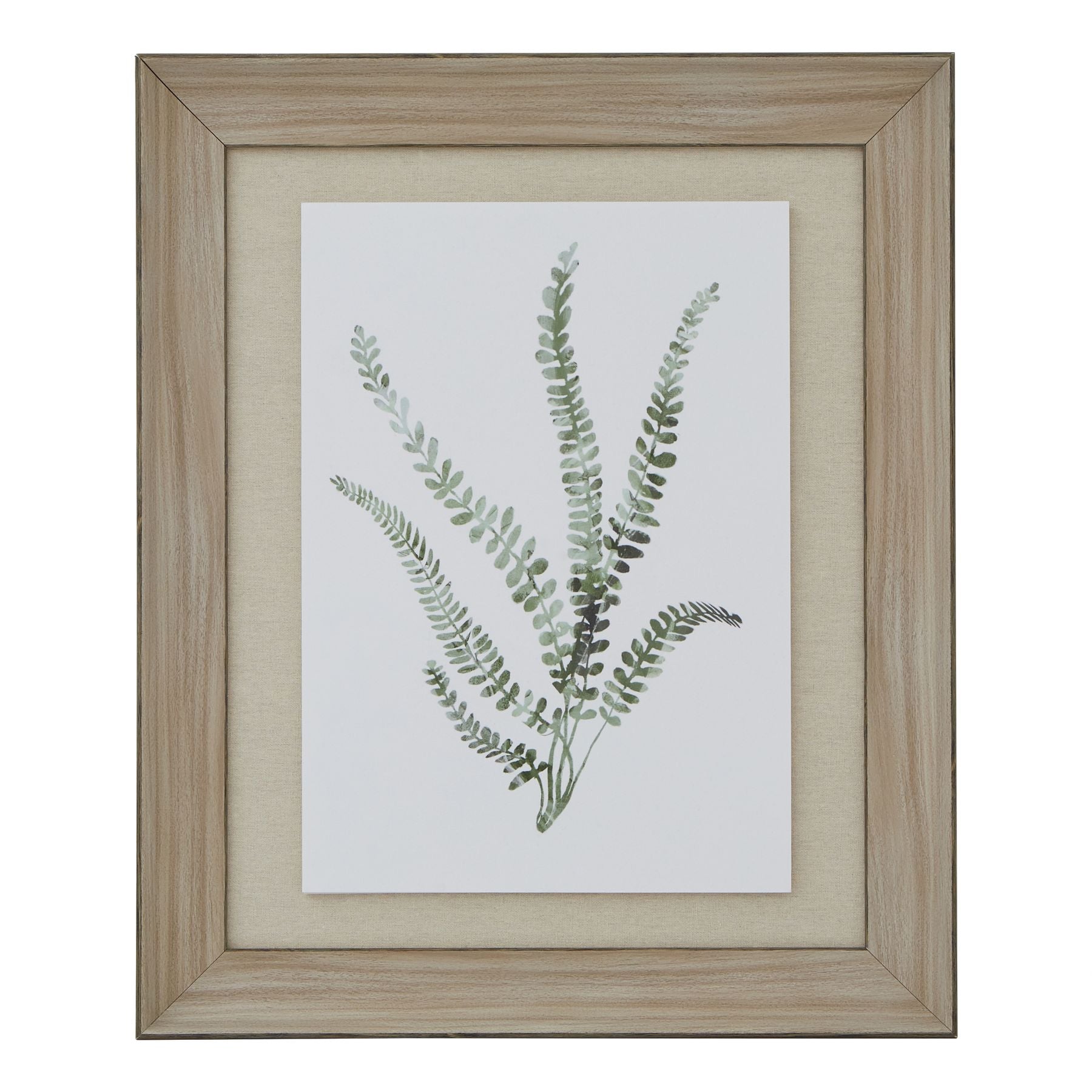 Watercolour Delicate Fern In Washed Wood Frame_3937
