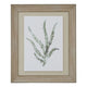 Watercolour Delicate Fern In Washed Wood Frame_3937