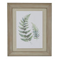 Watercolour Fern Duo In Washed Wood Frame_3941