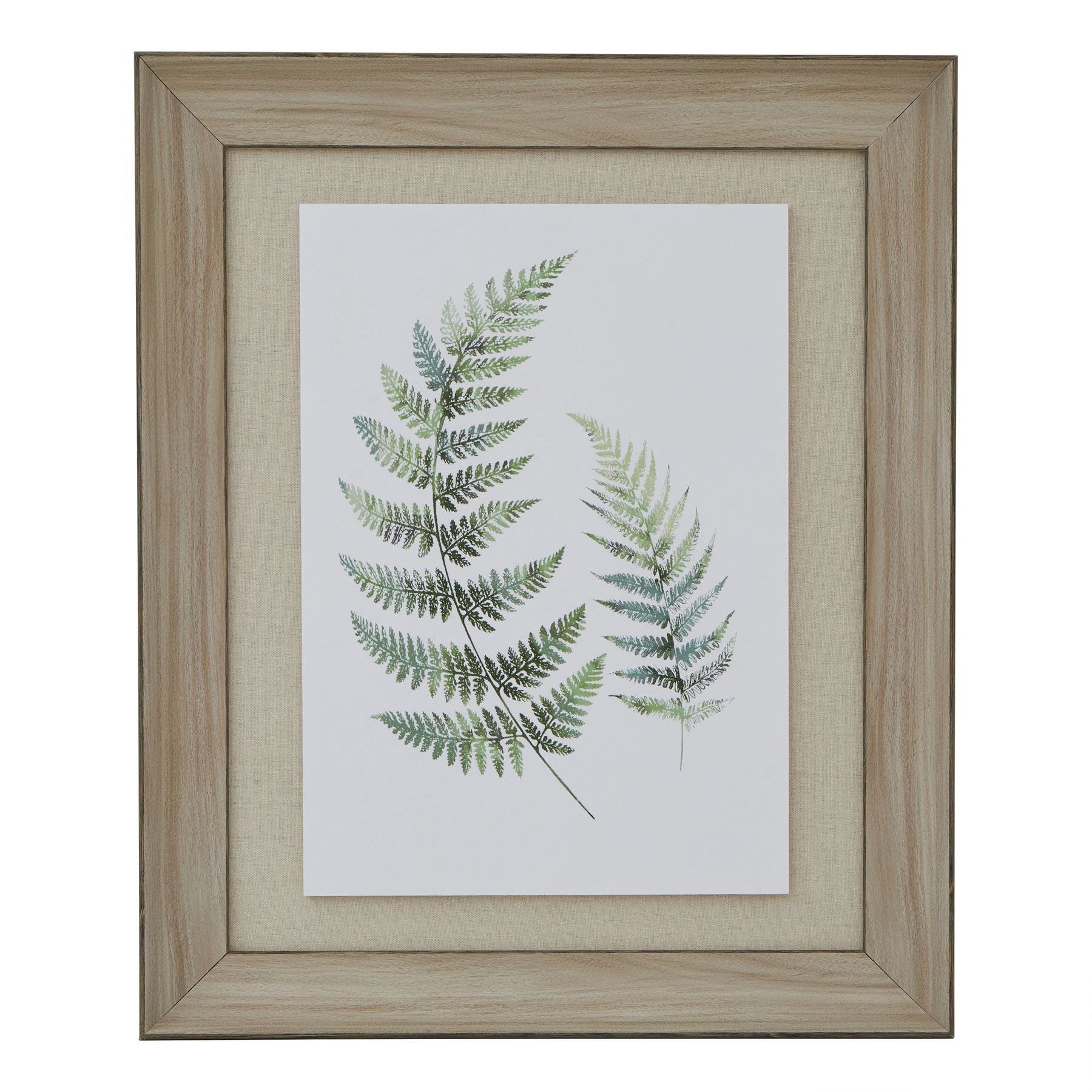 Watercolour Fern Duo In Washed Wood Frame_3941