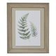 Watercolour Fern Duo In Washed Wood Frame_3941