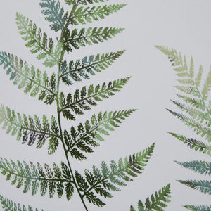 Watercolour Fern Duo In Washed Wood Frame_3943