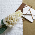 White  Spear Hydrangea_5784