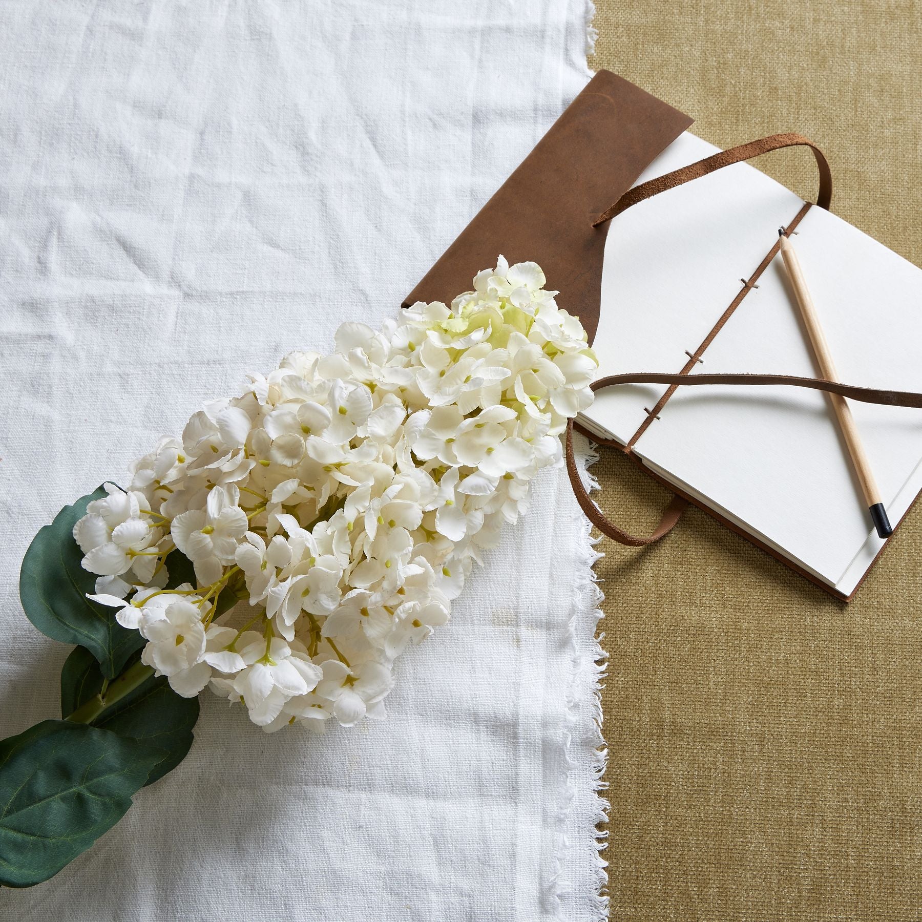 White  Spear Hydrangea_5784