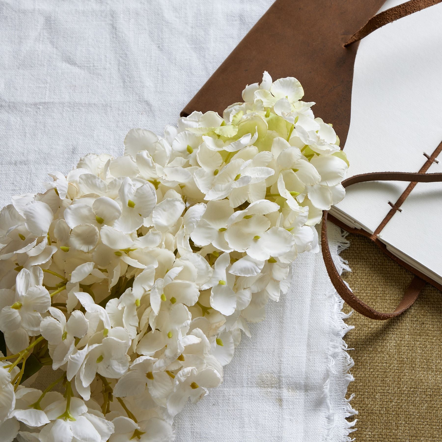 White  Spear Hydrangea_5785