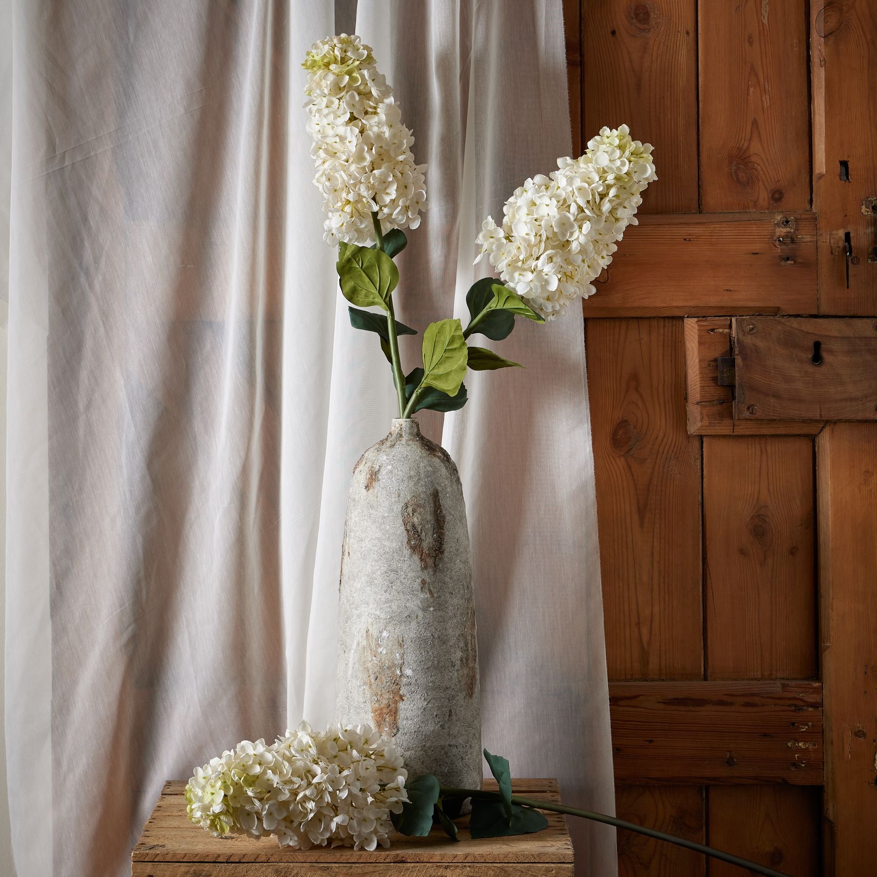 White  Spear Hydrangea_5786