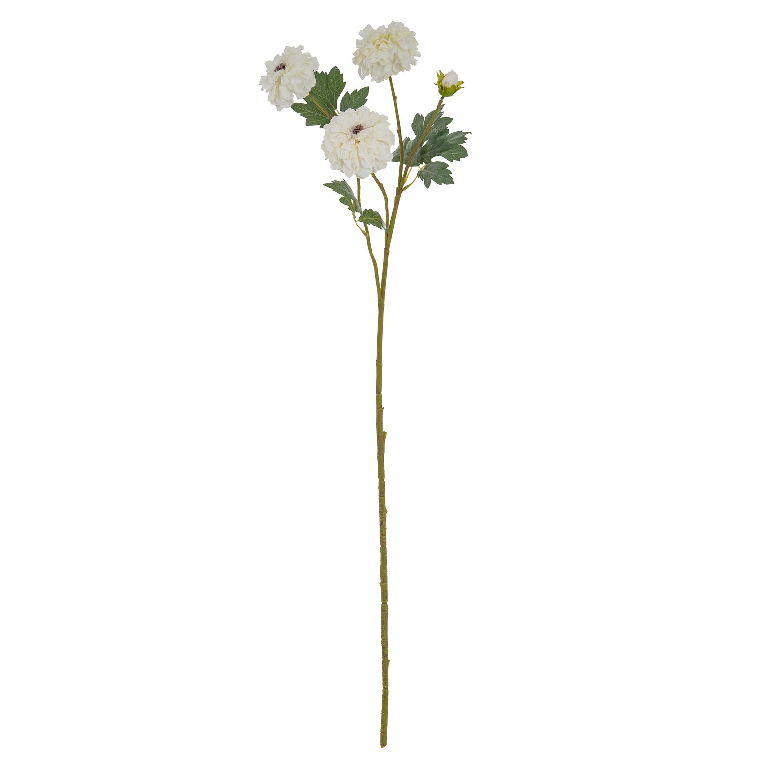 White African Marigold Large Spray_5790